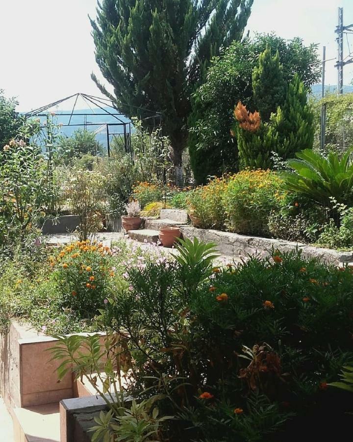 Studio PLAZA Leptokarya  Esterno foto